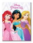 Ariel, Jasmine and Rapunzel na obrazie