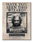 Harry Potter (Wanted Sirius Black)