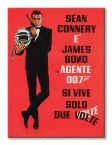 James-Bond-Si-Vive-Solo-Due-Volte