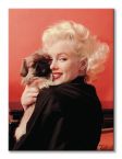Marilyn Monroe (Love) szczeniak - Obraz na płótnie