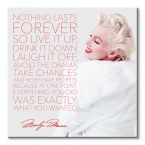 Marilyn Monroe (Nothing Lasts Forever)