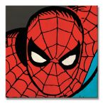 Spider Man - obraz na płótnie