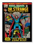 Marvel (Dr Strange World Gone Mad) - Obraz