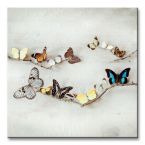 Obraz na płótnie przedstawiający kompozycje motyli na gałęzi