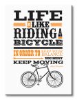 obraz na płótnie o wymiarach 60x80 przedstawia napis Life is like riding a bicycle