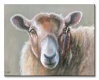Obraz na płótnie przedstawiający namalowaną owcę na szarym tle