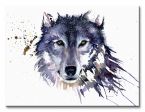 obraz na płótnie wilk 40x30
