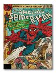 Obraz na płótnie o rozmiarze 30x40 przedstawia okładkę ze Spidermanem Marvel Comics