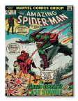 Obraz 60x80 przedstawia okładkę Marvel Comics z Spidermanem i Green Goblinem