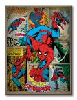 60x80 przedstawia postać Spider-mana na tle komiksu
