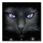 Obrazek 40x40 przedstawia czarnego kotka z fioletowymi oczami