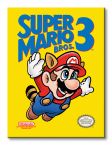 Obraz na płótnie przedstawia okładkę gry Nintendo Mario Bros.