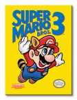 Obraz 60x80 przedstawia okładkę gry Super Mario Bros. na konsolę NES