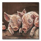 świnia - obraz