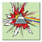Pink Floyd (DSOTM Pop Art)