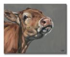 Snooty Cow - Obraz na płótnie