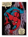 Spiderman Reason Why - Obraz