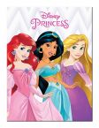 Obraz autorstwa pod tytułem Disney Princess (Ariel, Jasmine And Rapunzel) wymiary 30x40 cm