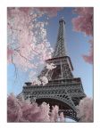 Obraz autorstwa David Clapp pod tytułem Eiffel Tower Infrared, Paris wymiary 30x40 cm