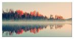 Obraz autorstwa Andreas Stridsberg pod tytułem Forest Reflections wymiary 100x50 cm