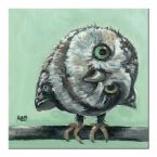 Obraz autorstwa Louise Brown pod tytułem Little Owl wymiary 30x30 cm