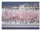 Obraz autorstwa David Clapp pod tytułem River Seine Infrared, Paris wymiary 40x30 cm