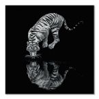 Czarno-biały obraz na płótnie przedstawiający pijącego Tygrysa