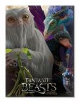 Obraz na płótnie przedstawiający fantastyczne zwierzęta z filmu Fantastic Beasts and Where To Find Them