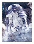 Obraz na ścianę Star Wars: The Last Jedi (R2-D2 Droid)