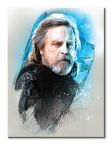 Obraz naścienny Star Wars: The Last Jedi (Luke Skywalker Brushstroke)