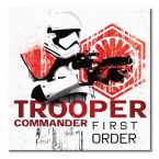 Obraz na ścianę Star Wars: The Last Jedi (Trooper Commander First Order)