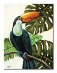 Canvas Tropical Toucan 30x40 cm