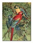 Canvas Vintage Parrots 30x40 cm