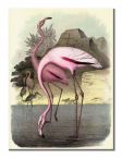 Canvas Vintage Flamingos 30x40 cm