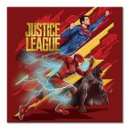Canvas Justice League (Heroes To Action) 40x40 cm