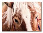 Canvas Switzerland horse 30x40 cm