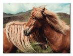Canvas Horses with mane 30x40 cm