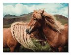 Canvas Horses with mane 120x90 cm