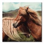 Canvas Horses with mane 60x60 cm