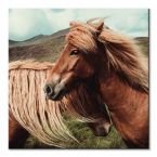 Canvas Horses with mane 40x40 cm