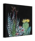Canvas przedstawiający kaktusy na czarnym tle