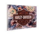 Logo Harley Davidson przedstawione na obrazie