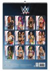 Tylna okładka kalendarza na 2019 rok z zawodniczkami WWE