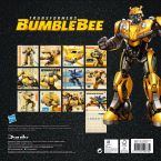 Tylna okładka kalendarza z Bumblebee na 2019 rok z 12 zdjęciami
