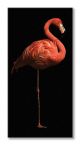 Canvas przedstawiający flaminga na czarnym tle