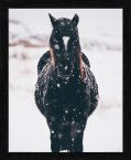 Plakat z koniem Llyn Brenig, United Kingdom
