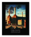 Canvas z albumu Animals zespołu Pink Floyd