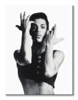 Canvas piosenkarza Prince'a z albumu Parade