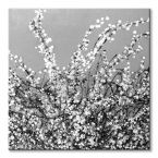 Szary canvas Spring Blossom on Grey