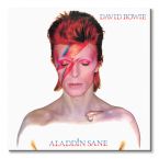 Canvas David Bowie Aladdin Sane 40x40 cm